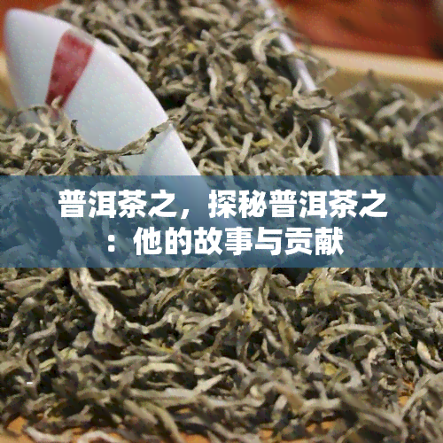 普洱茶之，探秘普洱茶之：他的故事与贡献