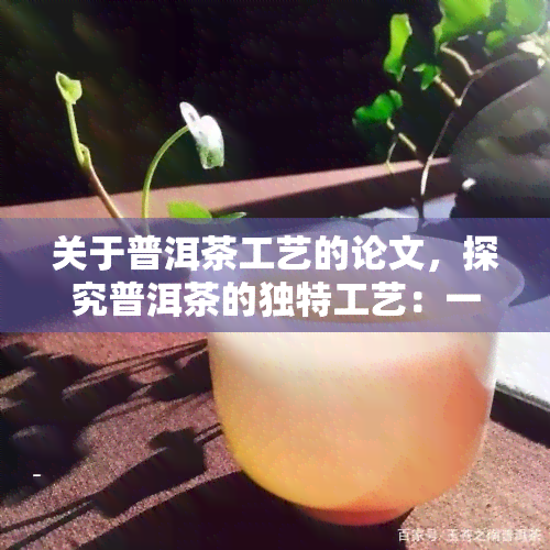 关于普洱茶工艺的论文，探究普洱茶的独特工艺：一综合性的研究