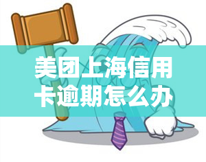 美团上海信用卡逾期怎么办？详细还款指南！