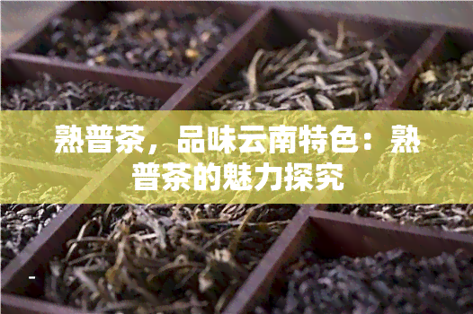 熟普茶，品味云南特色：熟普茶的魅力探究