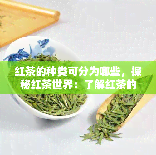 红茶的种类可分为哪些，探秘红茶世界：了解红茶的多样种类