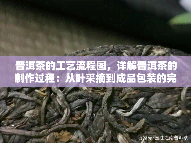 普洱茶的工艺流程图，详解普洱茶的制作过程：从叶采摘到成品包装的完整工艺流程图