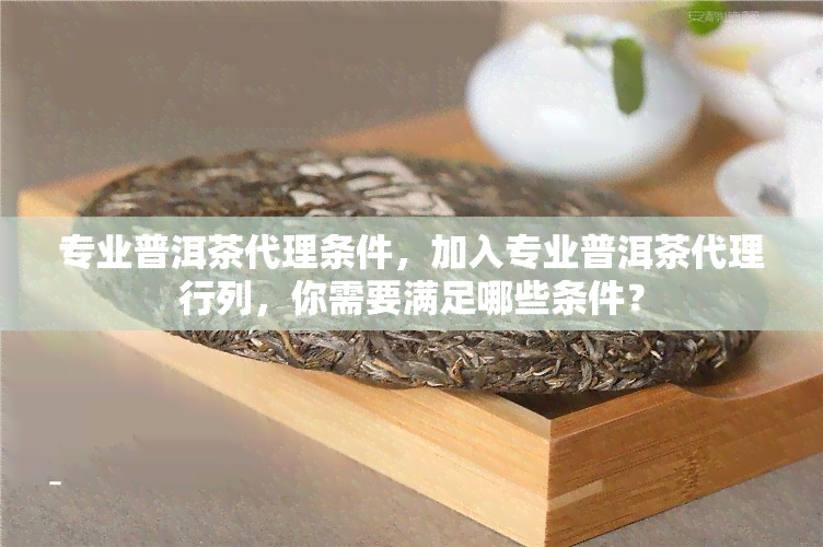 专业普洱茶代理条件，加入专业普洱茶代理行列，你需要满足哪些条件？