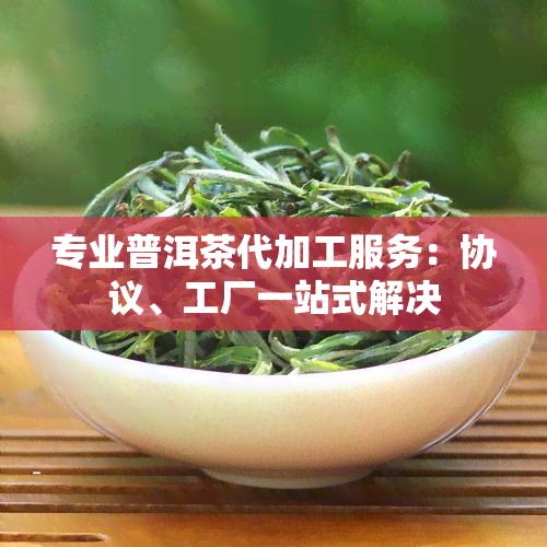 专业普洱茶代加工服务：协议、工厂一站式解决