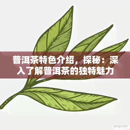 普洱茶特色介绍，探秘：深入了解普洱茶的独特魅力与文化背景