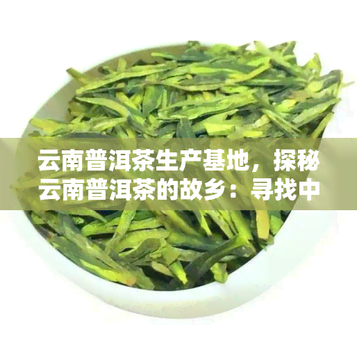 云南普洱茶生产基地，探秘云南普洱茶的故乡：寻找中国茶叶生产基地