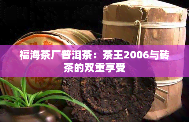 福海茶厂普洱茶：茶王2006与砖茶的双重享受