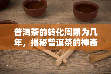 普洱茶的转化周期为几年，揭秘普洱茶的神奇转化：周期需几年？