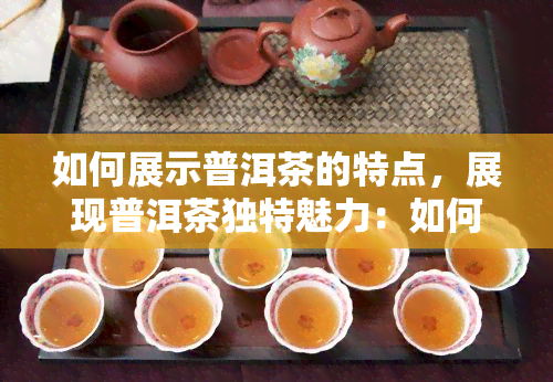 如何展示普洱茶的特点，展现普洱茶独特魅力：如何正确描述其特点？