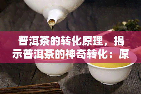 普洱茶的转化原理，揭示普洱茶的神奇转化：原理与机制解析