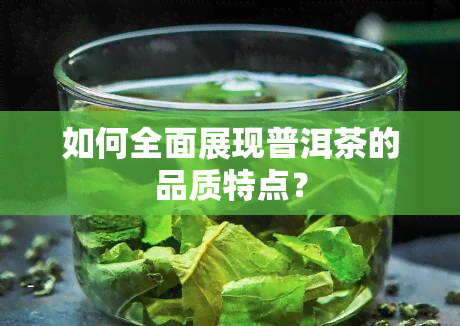 如何全面展现普洱茶的品质特点？