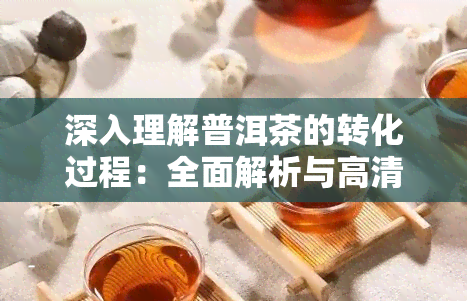 深入理解普洱茶的转化过程：全面解析与高清图片、视频展示