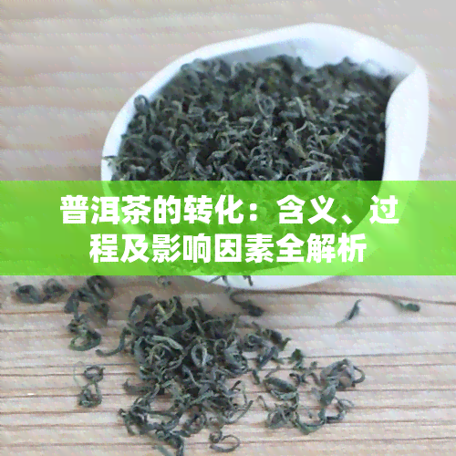 普洱茶的转化：含义、过程及影响因素全解析