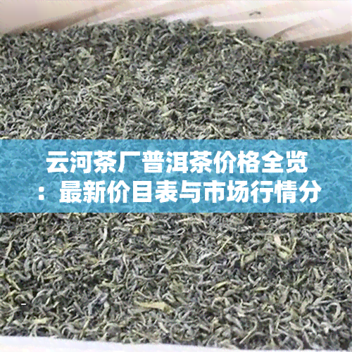 云河茶厂普洱茶价格全览：最新价目表与市场行情分析