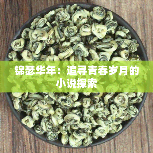 锦瑟华年：追寻青春岁月的小说探索