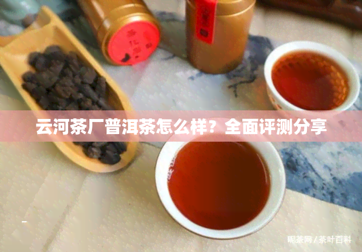 云河茶厂普洱茶怎么样？全面评测分享