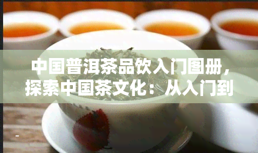 中国普洱茶品饮入门图册，探索中国茶文化：从入门到精通——品鉴普洱茶的完美指南