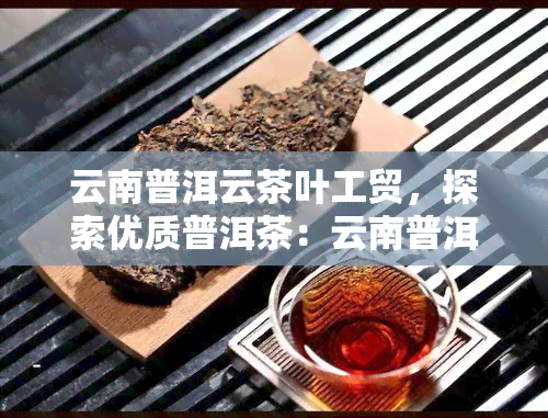 云南普洱云茶叶工贸，探索优质普洱茶：云南普洱云茶叶工贸