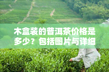 木盒装的普洱茶价格是多少？包括图片与详细信息