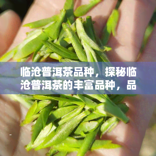 临沧普洱茶品种，探秘临沧普洱茶的丰富品种，品味茶香与历的交融