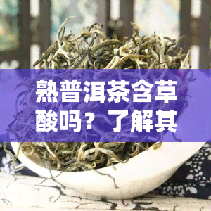 熟普洱茶含草酸吗？了解其成分与饮用风险