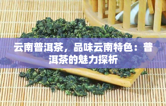 云南普洱茶，品味云南特色：普洱茶的魅力探析