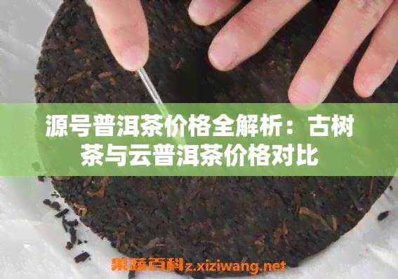 源号普洱茶价格全解析：古树茶与云普洱茶价格对比