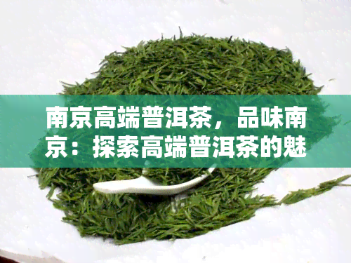 南京高端普洱茶，品味南京：探索高端普洱茶的魅力