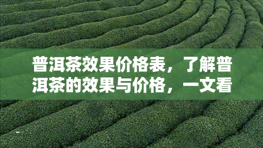 普洱茶效果价格表，了解普洱茶的效果与价格，一文看懂