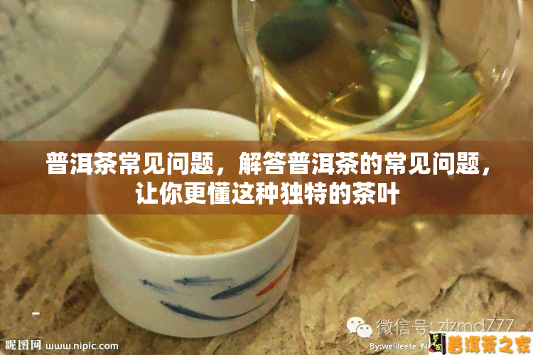 普洱茶常见问题，解答普洱茶的常见问题，让你更懂这种独特的茶叶