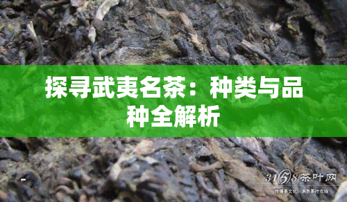 探寻武夷名茶：种类与品种全解析