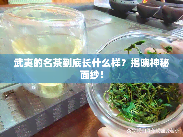 武夷的名茶到底长什么样？揭晓神秘面纱！