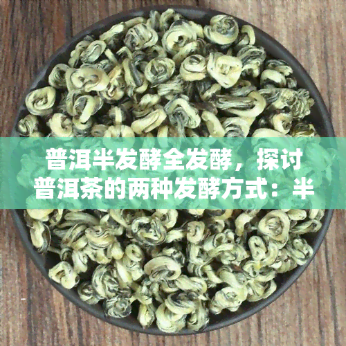 普洱半发酵全发酵，探讨普洱茶的两种发酵方式：半发酵与全发酵的区别和特点