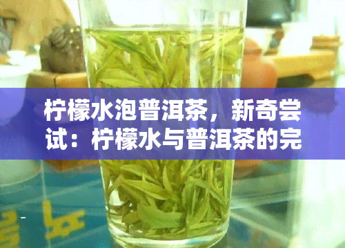 柠檬水泡普洱茶，新奇尝试：柠檬水与普洱茶的完美搭配