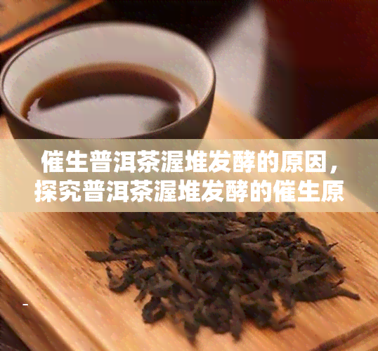 催生普洱茶渥堆发酵的原因，探究普洱茶渥堆发酵的催生原因