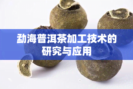 勐海普洱茶加工技术的研究与应用