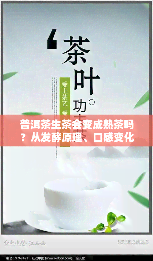 普洱茶生茶会变成熟茶吗？从发酵原理、口感变化等方面解析。