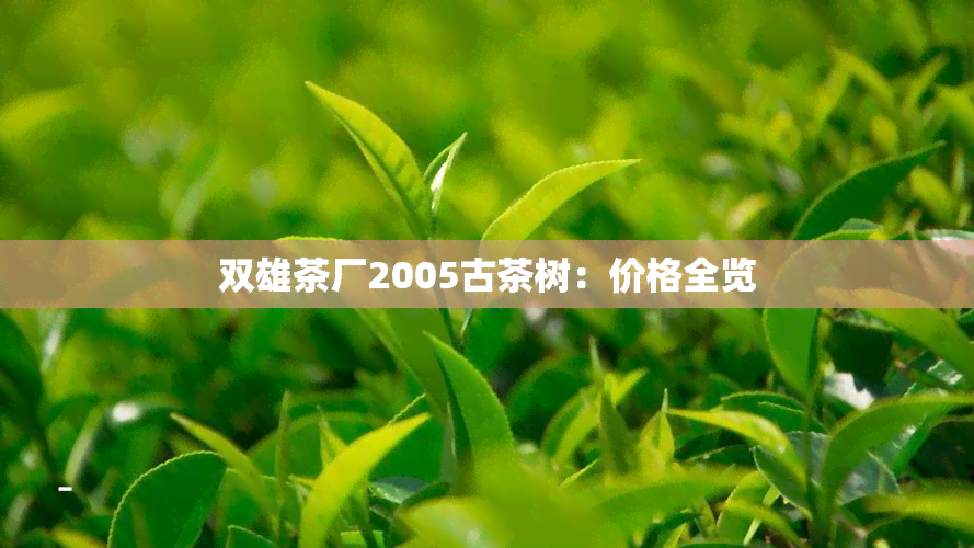 双雄茶厂2005古茶树：价格全览