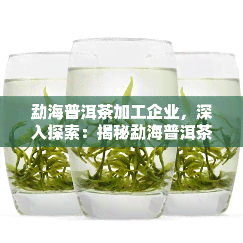 勐海普洱茶加工企业，深入探索：揭秘勐海普洱茶加工企业的独特工艺与品质