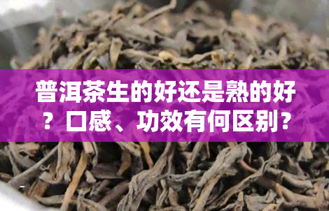 普洱茶生的好还是熟的好？口感、功效有何区别？