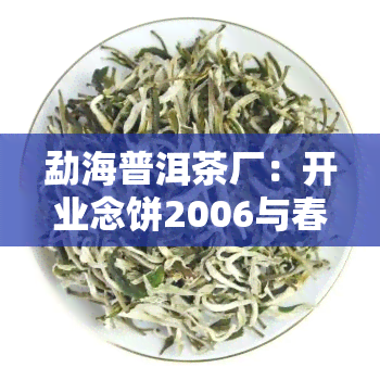 勐海普洱茶厂：开业念饼2006与春云简介