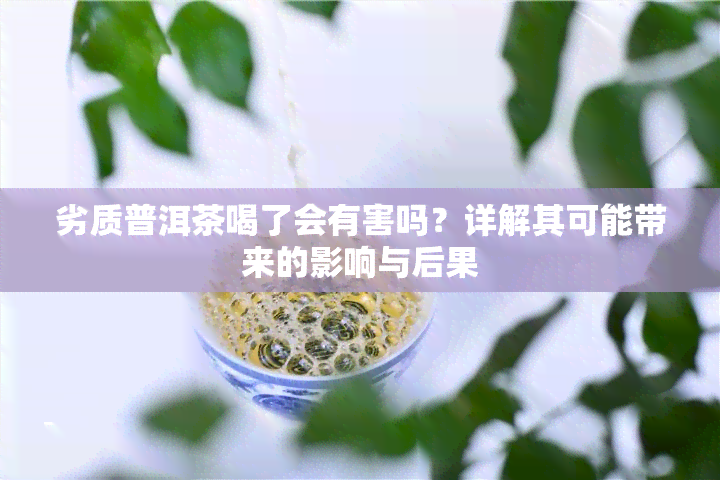 劣质普洱茶喝了会有害吗？详解其可能带来的影响与后果