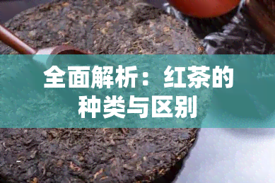 全面解析：红茶的种类与区别