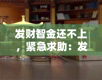 发财智金还不上，紧急求助：发财智金还款问题，该如何解决？