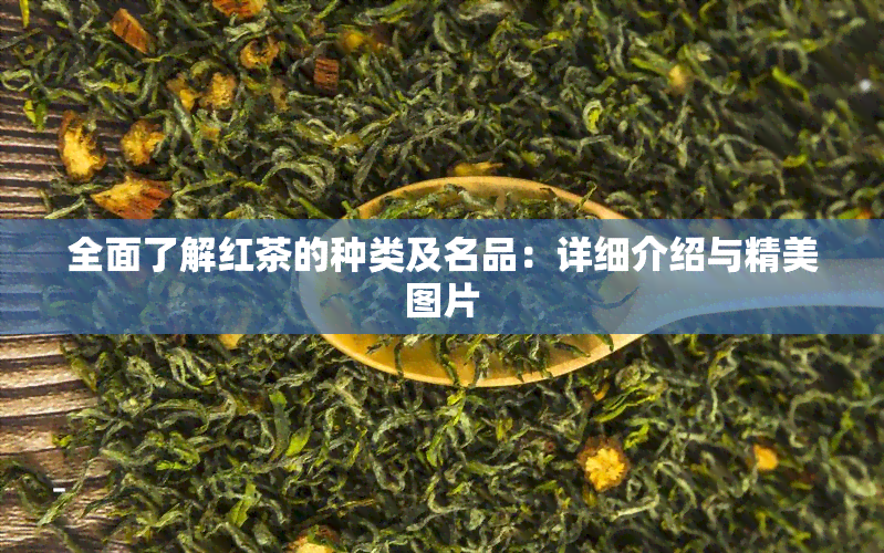 全面了解红茶的种类及名品：详细介绍与精美图片