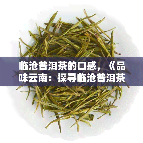 临沧普洱茶的口感，《品味云南：探寻临沧普洱茶的独特口感》