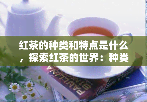 红茶的种类和特点是什么，探索红茶的世界：种类与特点详解