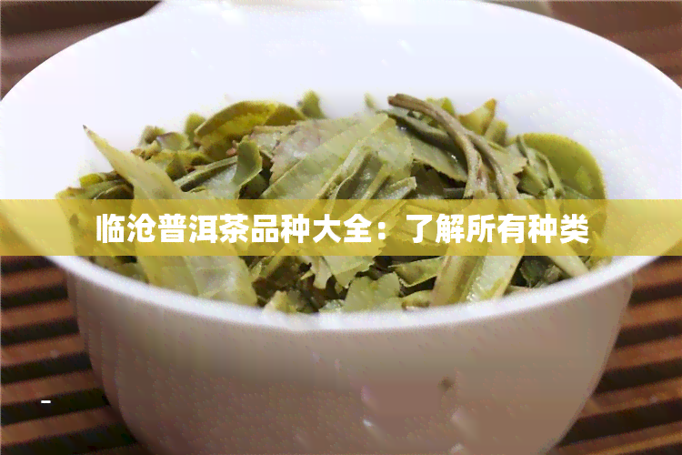 临沧普洱茶品种大全：了解所有种类