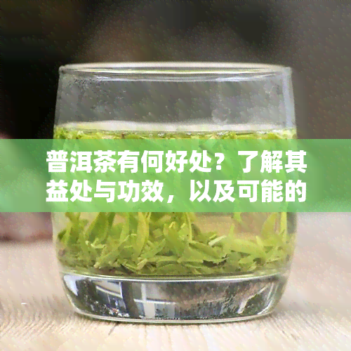 普洱茶有何好处？了解其益处与功效，以及可能的风险与副作用