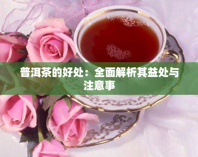 普洱茶的好处：全面解析其益处与注意事